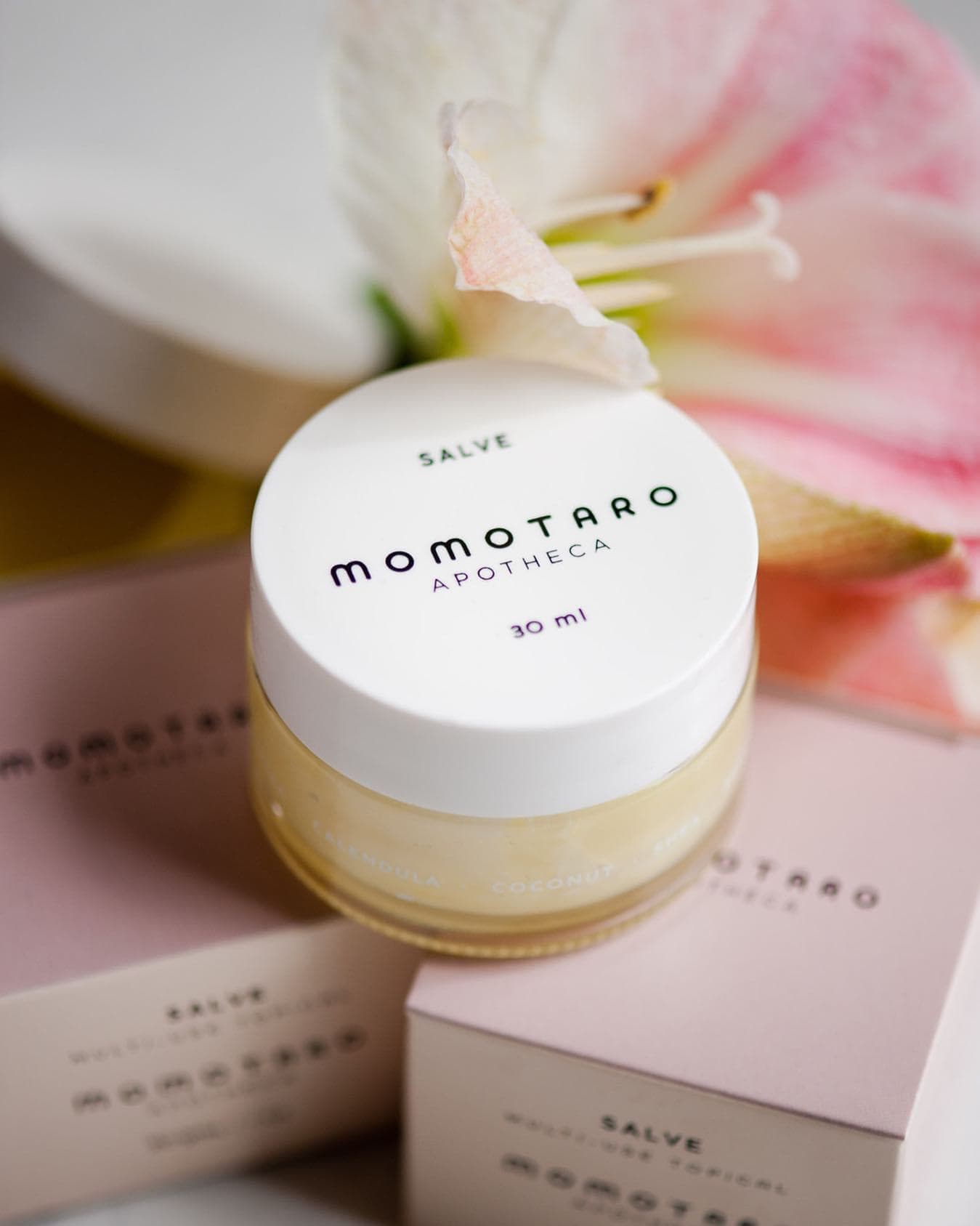 momotaro-apotheca-salve-2.jpg